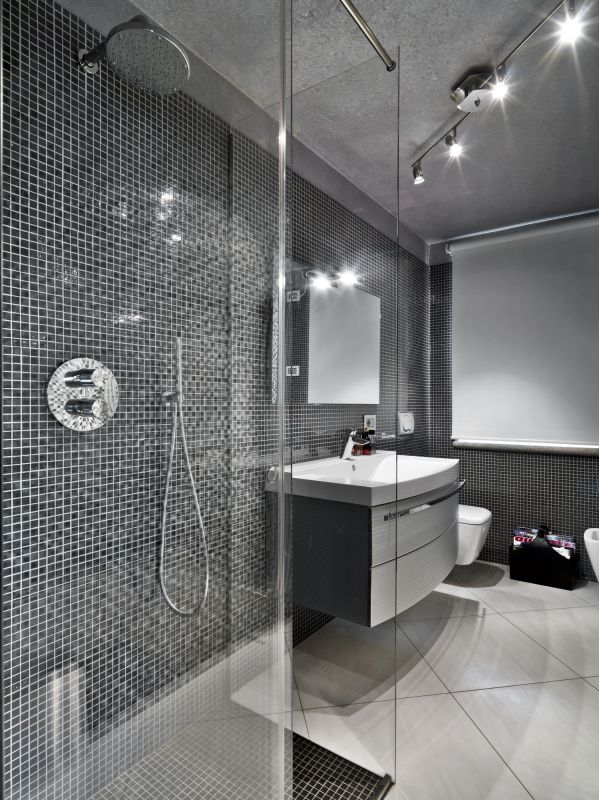 Contemporary Shower Interior